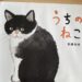 [신간 일본그림책]  집고양이로 길들여지기까지